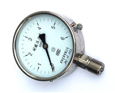 耐(nai)酸壓力表