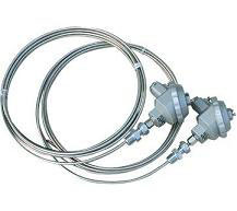 铠(kai)裝熱電阻