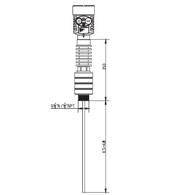 高溫(wen)導波雷達(dá)物位計外(wài)型尺寸圖(tu)