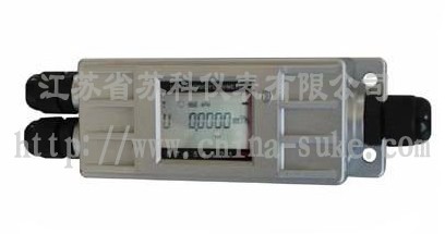 固定一體基本(ben)型超聲波流量計(jì)