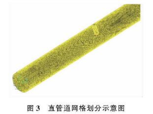 插入式電磁流(liú)量計直管道網格(ge)劃分示意圖