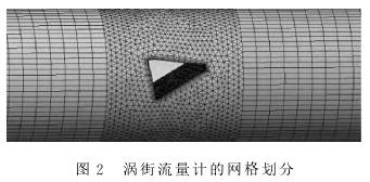 渦街流量(liang)計的網格(gé)劃分圖示(shi)