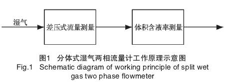 分體式濕氣(qì)兩相流量計工(gōng)作原理圖示