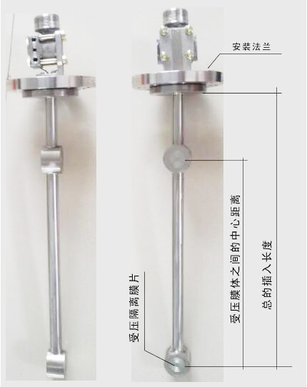 頂裝型差(cha)壓式密度計圖(tú)示
