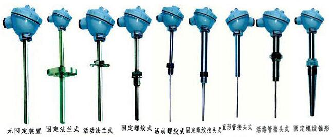 熱電阻結構形(xíng)式圖示