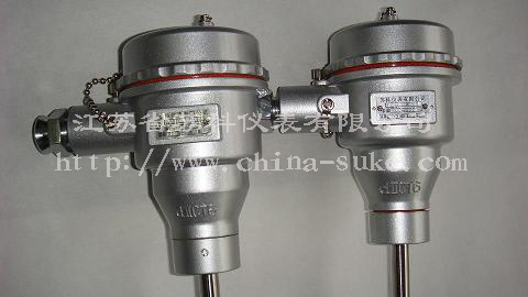 隔爆(bao)型熱電偶(ou)