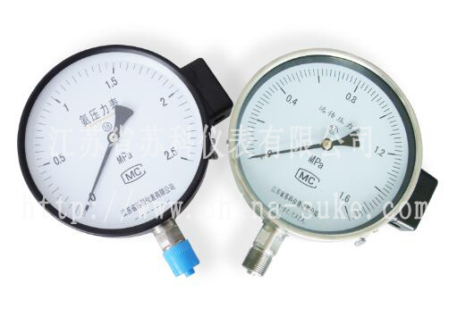 電阻遠(yuan)傳壓力表産(chan)品圖