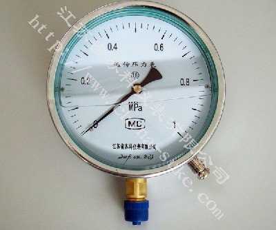 電阻遠傳耐震(zhen)壓力表