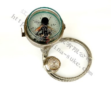 隔離式耐(nai)震磁助電(diàn)接點壓力(lì)表