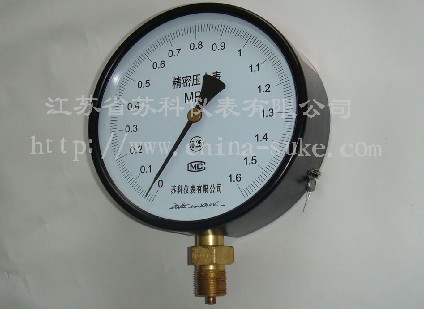 精(jīng)密壓力(lì)表