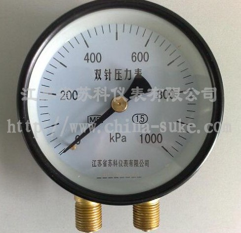 雙針壓力(lì)表