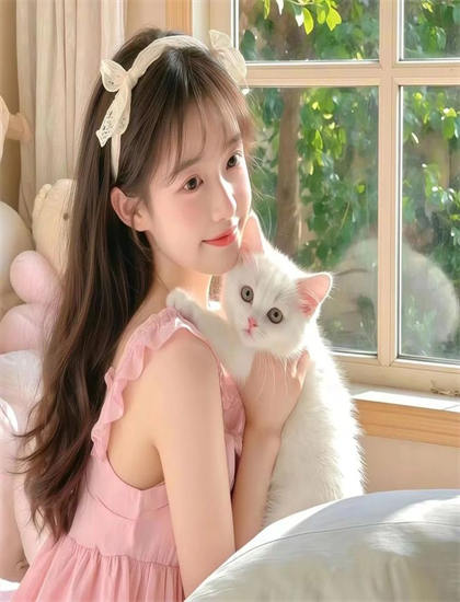 《圣诞佳人》个人评价对比：专业影评与观众口碑差异